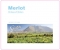 Chilean Merlot