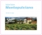 Italian Montepulciano Style
